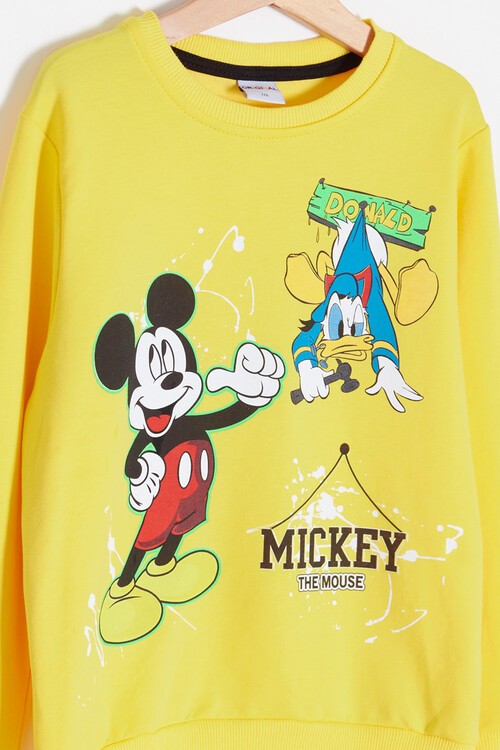 Erkek Çocuk Çizgi Karakter Baskılı Eşofman Takımı 14634