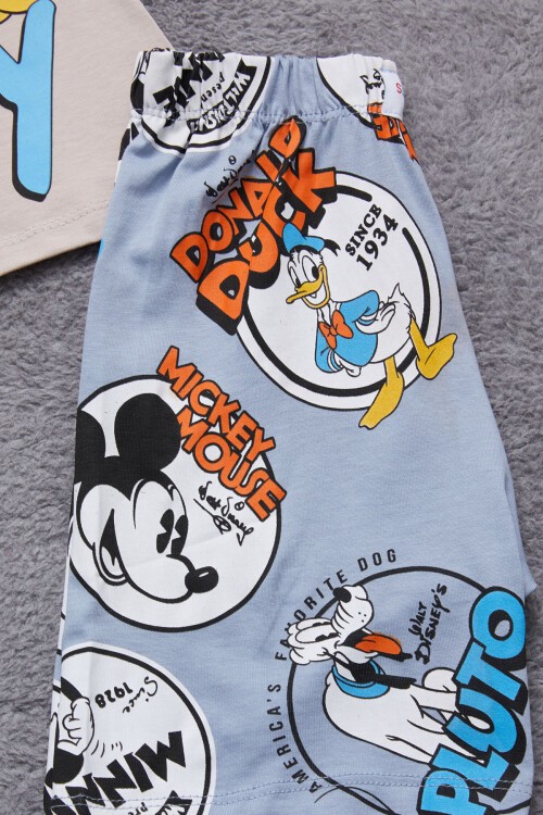 Gri Karakter Baskılı Erkek Çocuk Şortlu Takım 15345