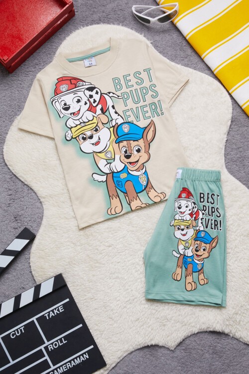 Yeşil Sevimli Köpek Baskılı Erkek Çocuk Şortlu Takım 15264