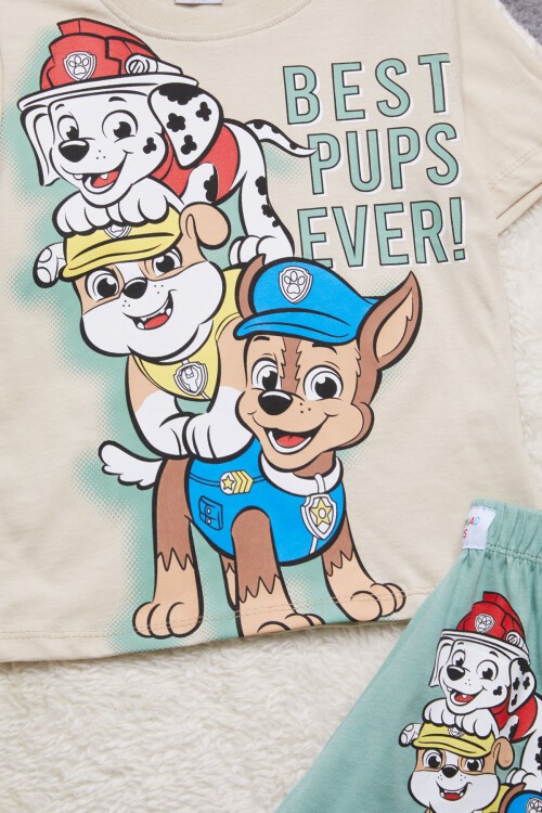 Yeşil Sevimli Köpek Baskılı Erkek Çocuk Şortlu Takım 15264