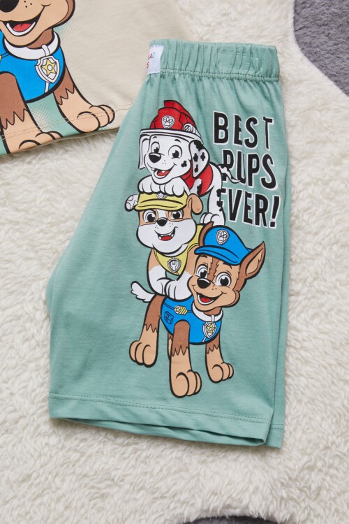 Yeşil Sevimli Köpek Baskılı Erkek Çocuk Şortlu Takım 15264