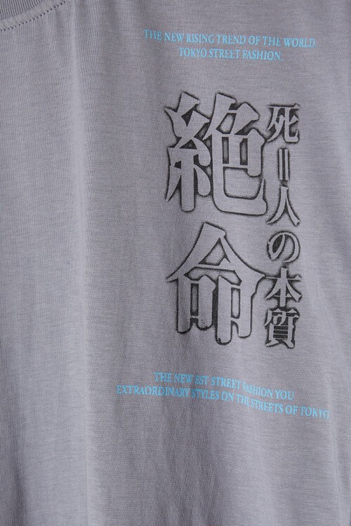 Gri Sırt Baskı Detaylı Erkek Tişört 16093