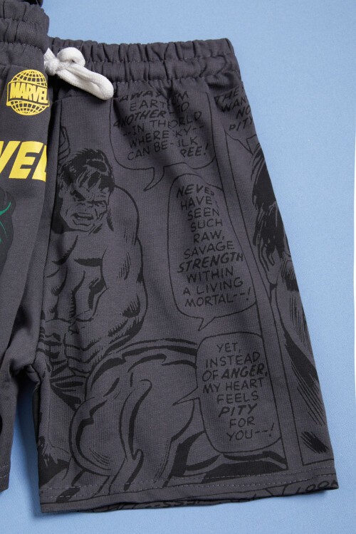 Gri Süper Kahraman Baskılı Erkek Çocuk Şortlu Takım 15564