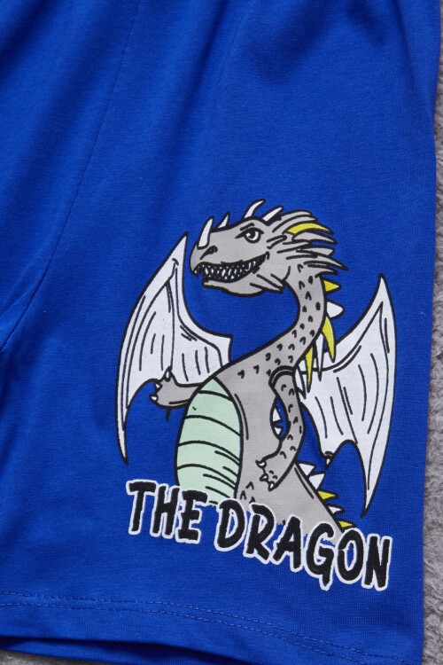 Lacivert Ejderha Baskılı Erkek Çocuk Şortlu Takım 15399