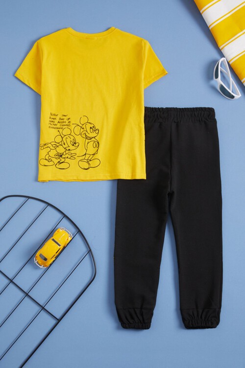 Sarı Karakter Baskı Erkek Çocuk Alt Üst Takım 16038