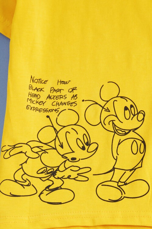 Sarı Karakter Baskı Erkek Çocuk Alt Üst Takım 16038