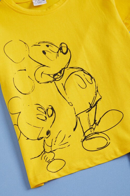 Sarı Karakter Baskı Erkek Çocuk Alt Üst Takım 16038