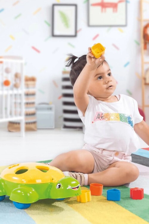 Sihirli Şekiller Kaplumbağa Oyunu 5 Farklı Şekilli 16072