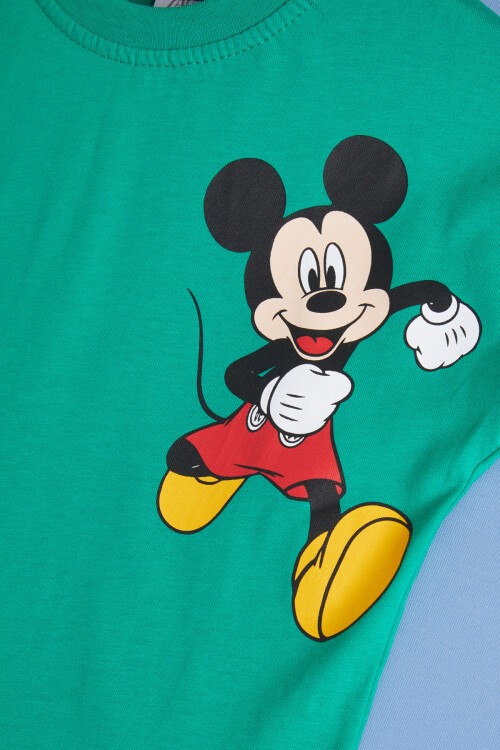 Sırt Baskı Detaylı Karakterli Erkek Çocuk Şortlu Takım 15476