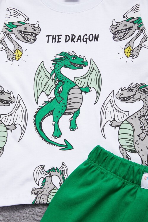 Yeşil Ejderha Baskılı Erkek Çocuk Şortlu Takım 15402