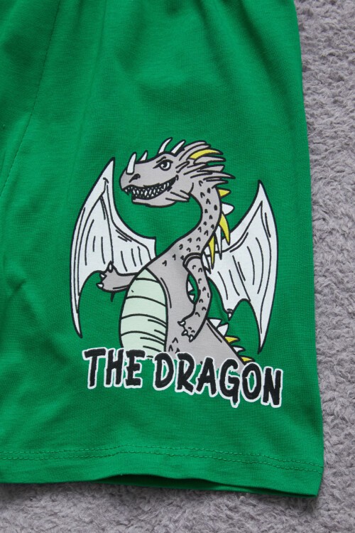 Yeşil Ejderha Baskılı Erkek Çocuk Şortlu Takım 15402