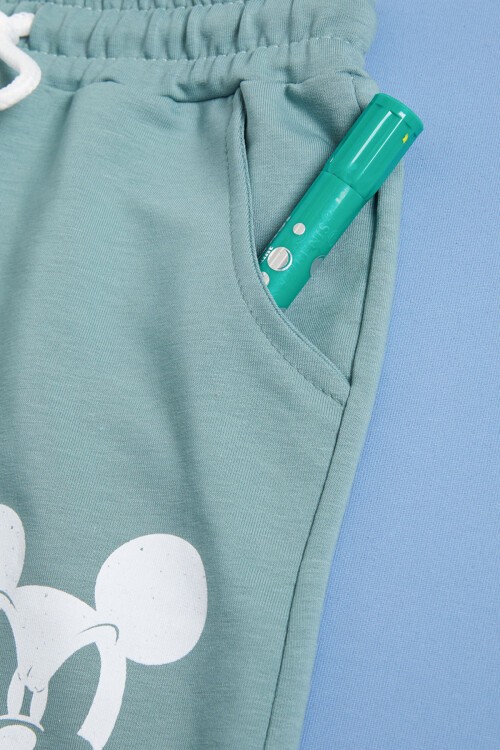 Yeşil Karakter Baskılı Erkek Çocuk Şortlu Takım 16029