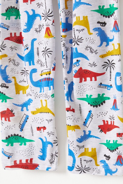 Dinozor Desenli Erkek Çocuk Pijama Takımı 16327
