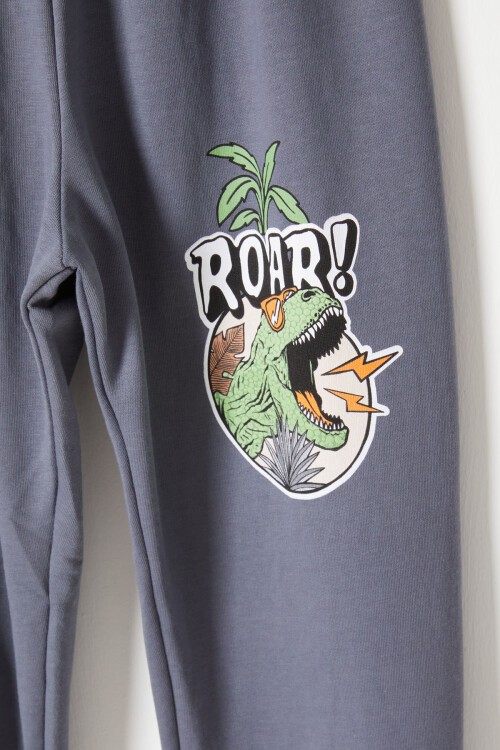 Füme Roar Dinozor Baskılı Erkek Çocuk Eşofman Takımı 16753