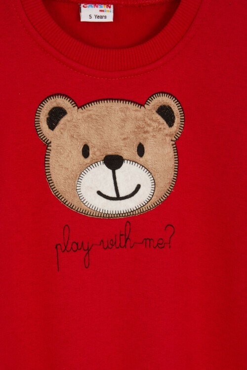 Kırmızı Erkek Çocuk Sevimli Ayıcık Temalı Şardonlu 3 İplik 2li Takım