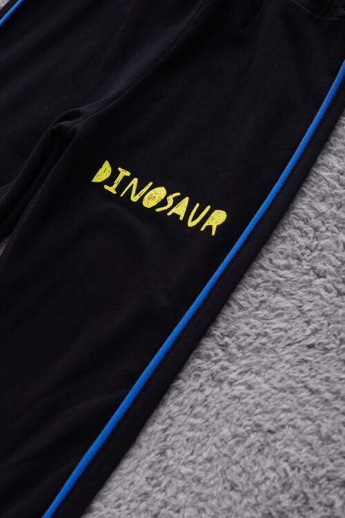 Mavi Dinozor Baskılı Cepli Erkek Bebek Eşofman Takımı 17324