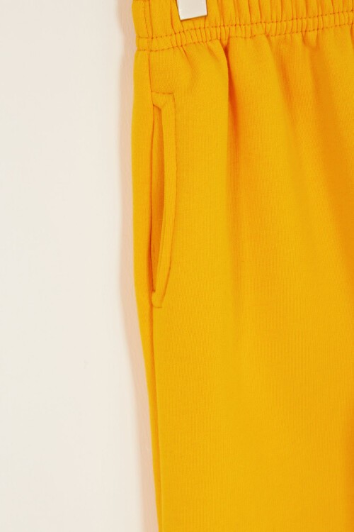 Sarı Erkek Çocuk Sevimli Ayıcık Temalı Şardonlu 3 İplik 2li Takım