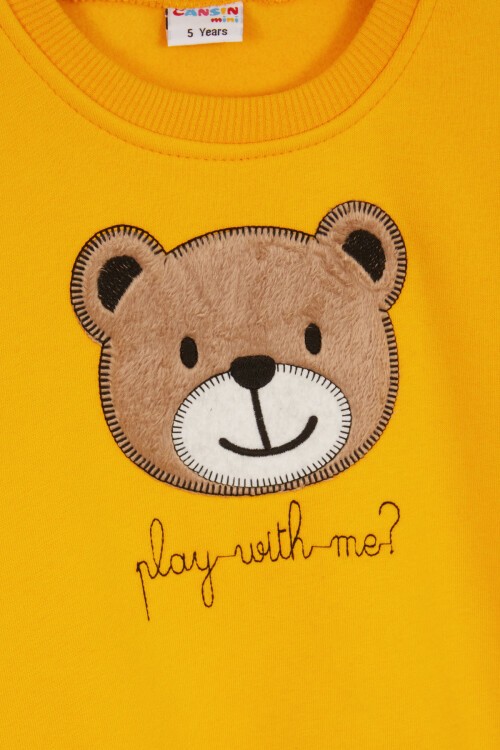 Sarı Erkek Çocuk Sevimli Ayıcık Temalı Şardonlu 3 İplik 2li Takım