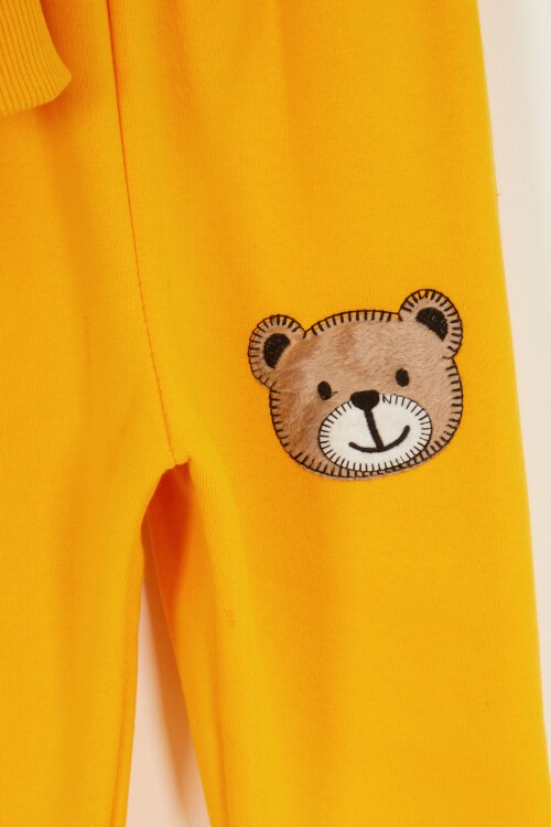 Sarı Erkek Çocuk Sevimli Ayıcık Temalı Şardonlu 3 İplik 2li Takım
