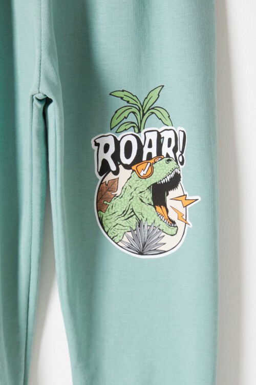 Yeşil Roar Dinozor Baskılı Erkek Çocuk Eşofman Takımı 16755