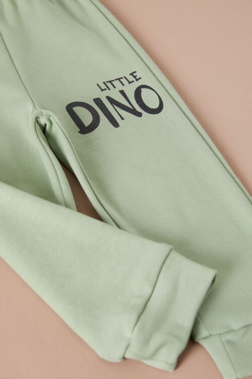 Ekru Little Dinozor Baskılı Erkek Bebek Takımı 17401