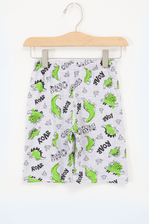 Erkek Çocuk Gri Dinazor Baskılı Kapri 17668 - 5022