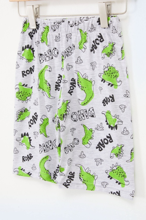 Erkek Çocuk Gri Dinazor Baskılı Kapri 17668 - 5022