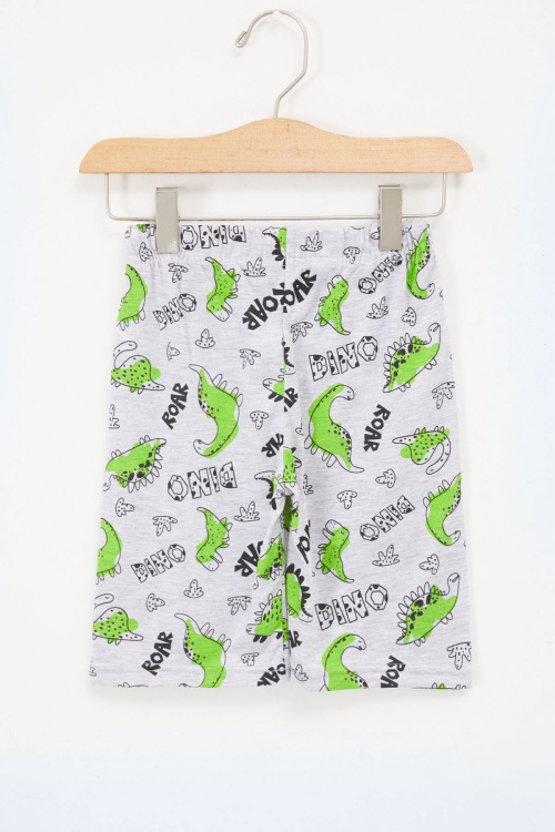 Erkek Çocuk Gri Dinazor Baskılı Kapri 17668 - 5022