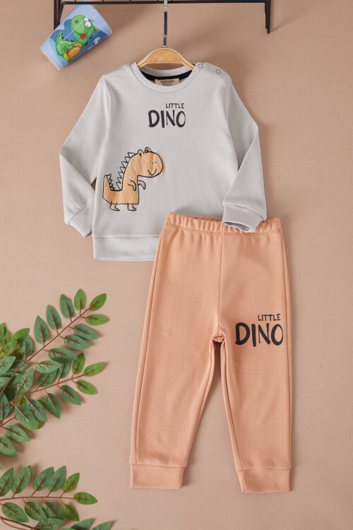 Gri Little Dinozor Baskılı Erkek Bebek Takımı 17403