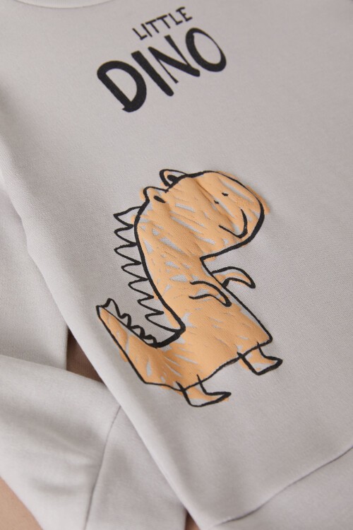 Gri Little Dinozor Baskılı Erkek Bebek Takımı 17403