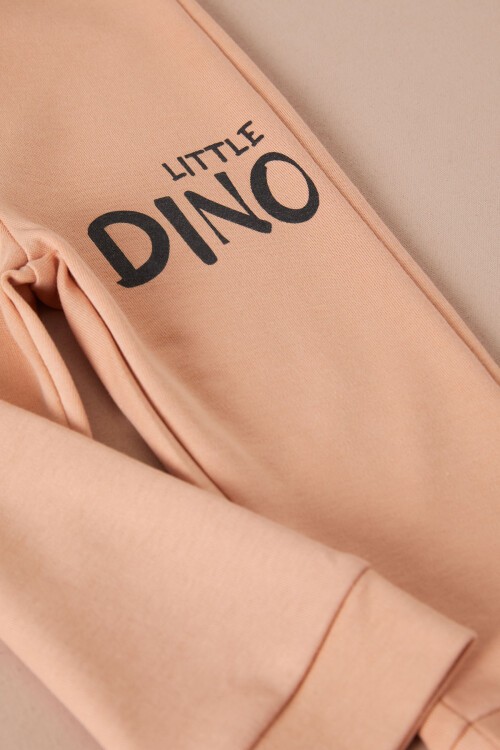 Gri Little Dinozor Baskılı Erkek Bebek Takımı 17403