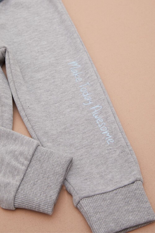 Mavi Aslan Baskılı Yazılı Erkek Bebek Takımı 17397