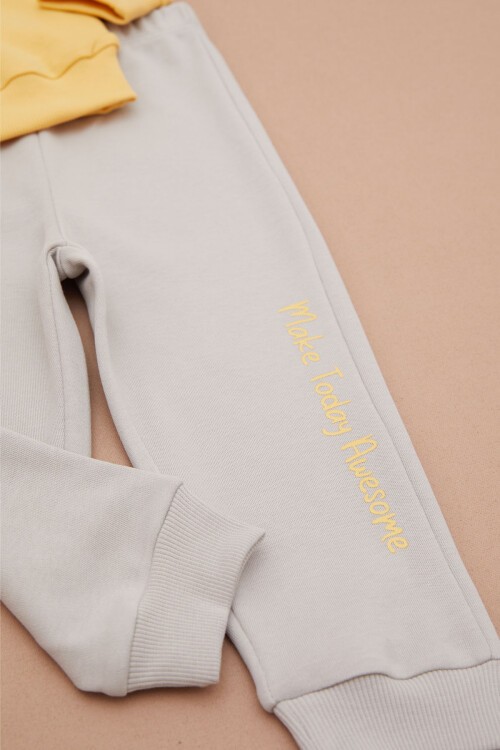 Sarı Aslan Baskılı Yazılı Erkek Bebek Takımı 17396