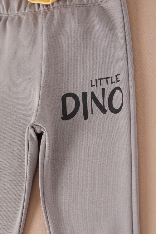 Sarı Little Dinozor Baskılı Erkek Bebek Takımı 17402