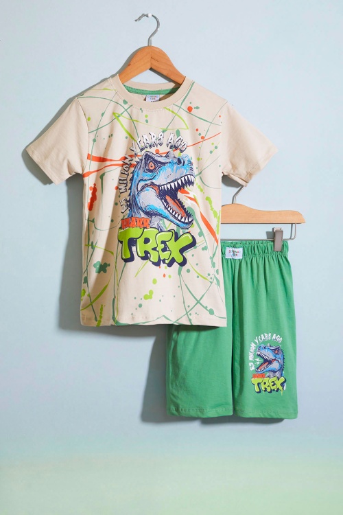 Yeşil T-rex Baskılı Yazılı Erkek Çocuk Şortlu Takım 18708